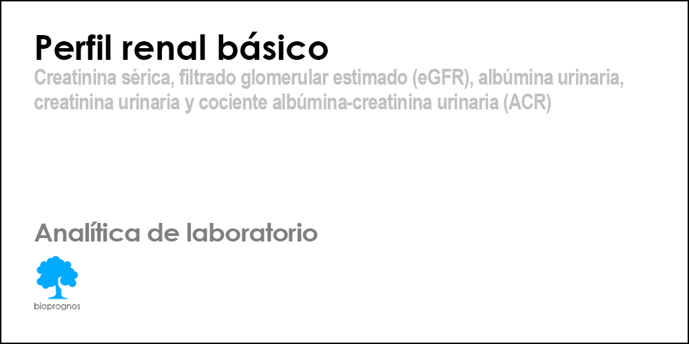 Perfil renal básico